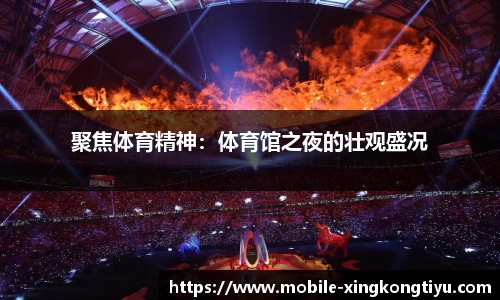 聚焦体育精神：体育馆之夜的壮观盛况